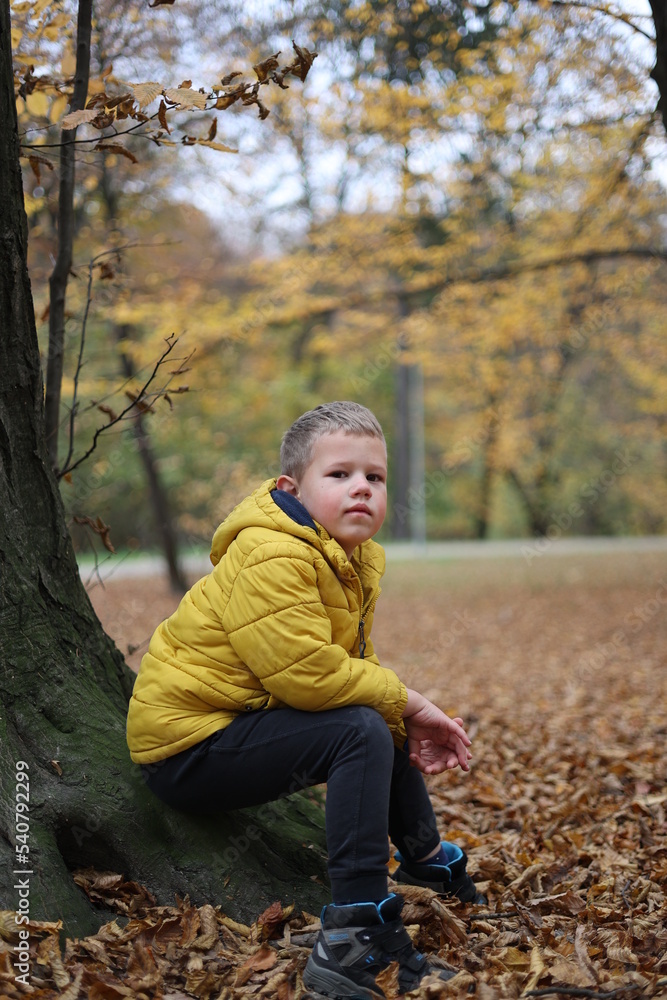 child in autumn forest child in autumn forest