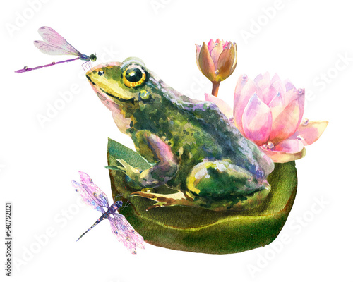 Watercolor illustration of water lily with dew drops and frog  isolated on white background.
