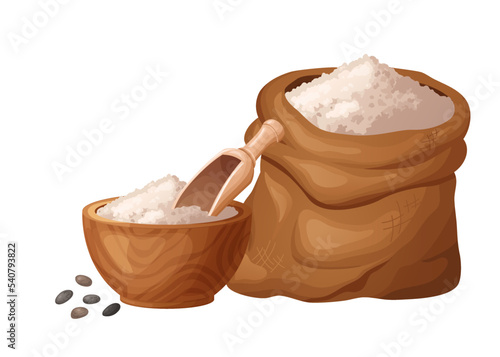 Chia flour in wooden bowl with seeds. Healthy gluten free food. POwed in organic product. Vector illustration isolated on white background