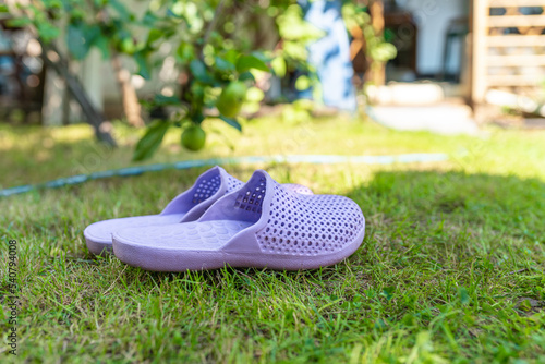 Flip-flops stand on the green grass