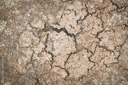 Dried desert land. Cracks in the ground. Dehydrated soil.
