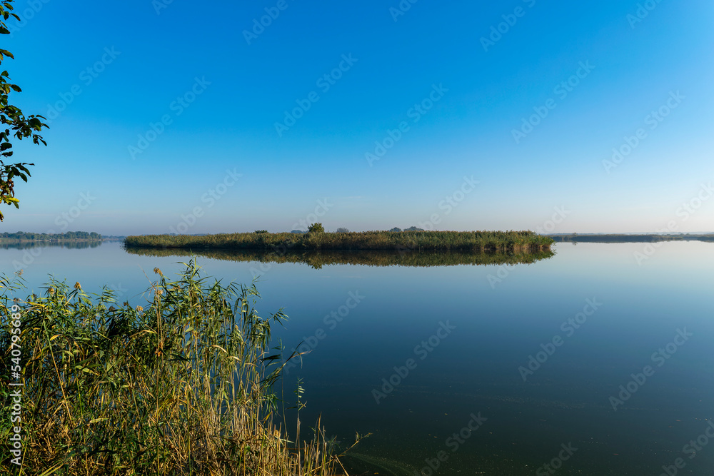 View of the river with banks overgrown with reeds and illuminated by the morning sun against a cloudless blue sky