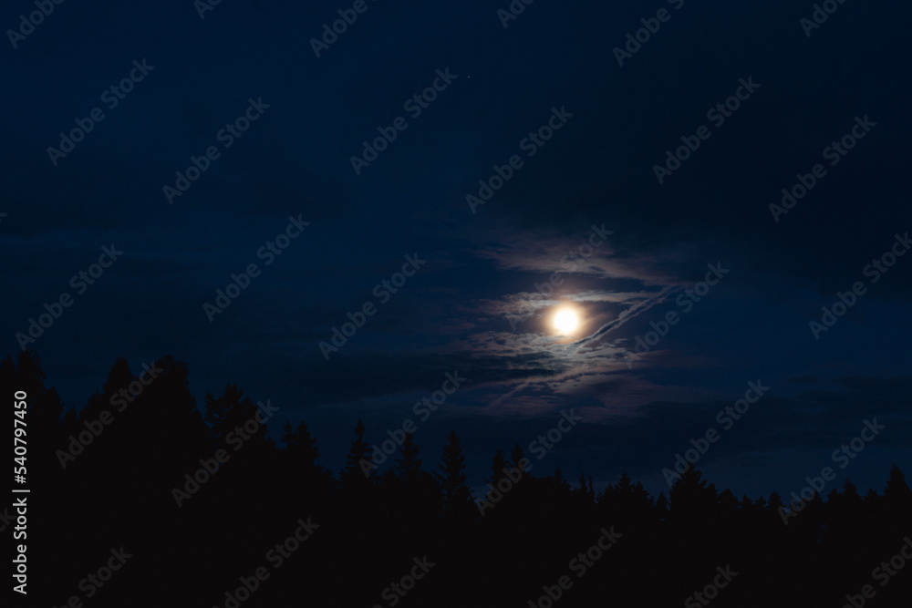 The full moon behind the forest in the early morning sky The full moon behind the forest in the early morning sky