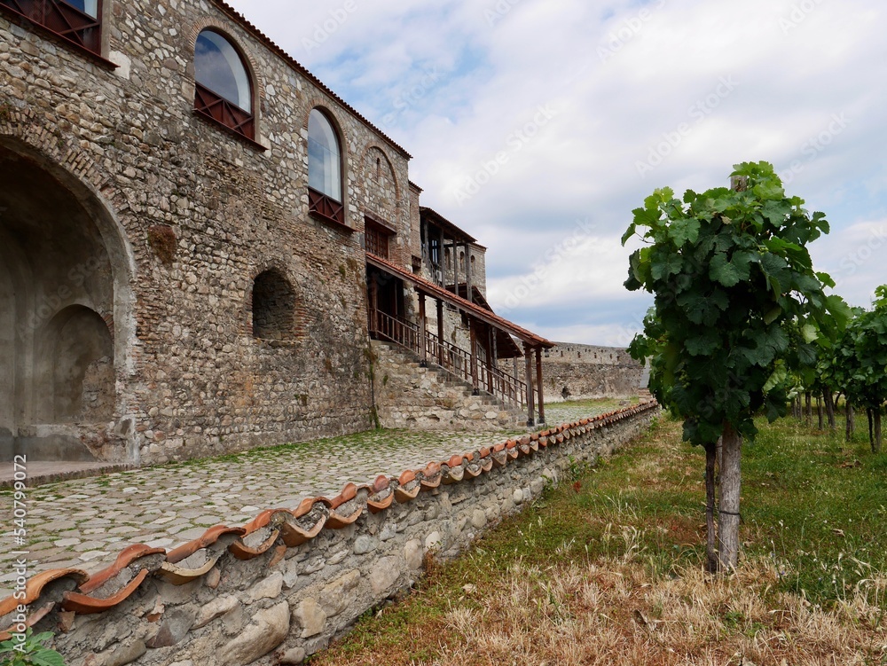 Vineyard in yard of Alaverdi monastery in Kakheti region, Georgia.