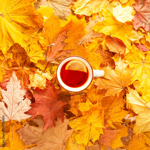 A cup of black tea with lemon on autumn leaves, top view, autumn concept