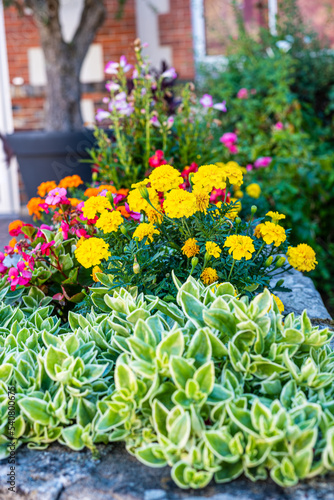 Obraz na płótnie Fleurs d'été w salonie