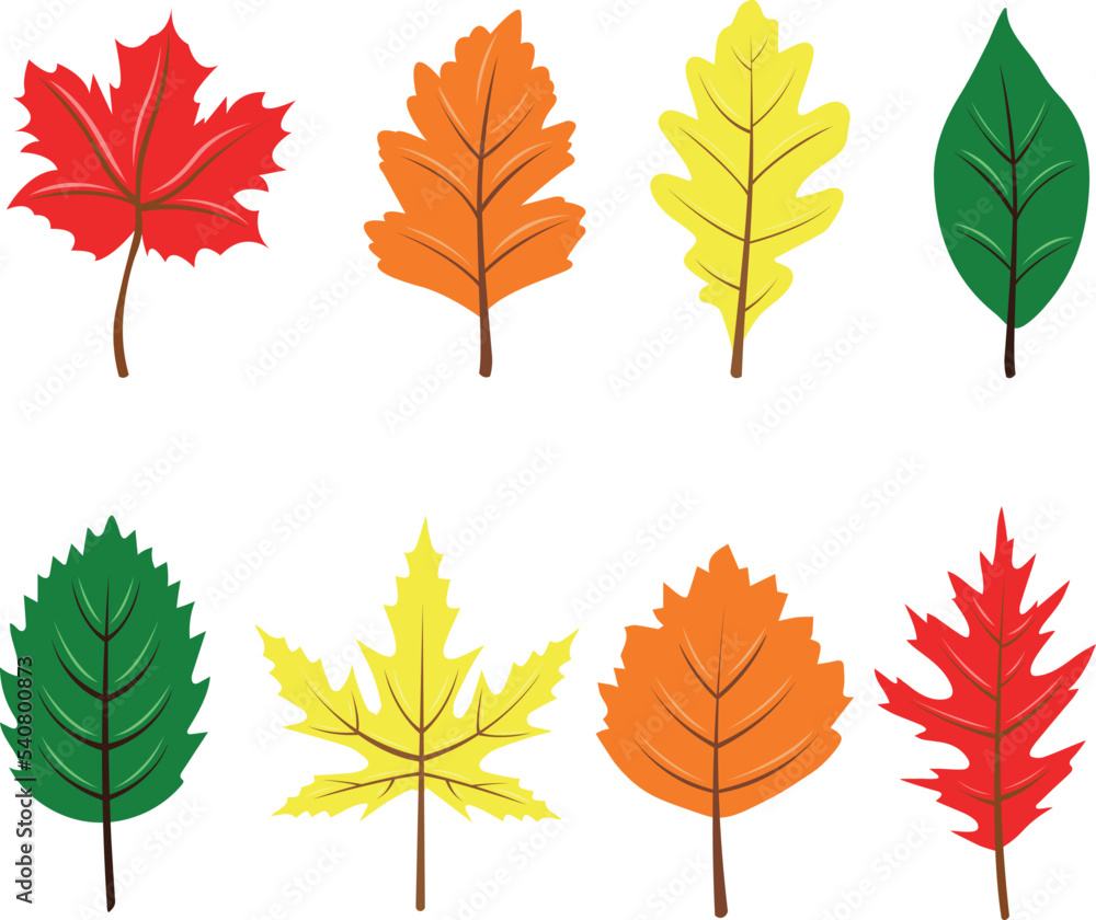 Set of colorful autumn leaves on a transparent background, vector graphics Set of colorful autumn leaves on a transparent background, vector graphics