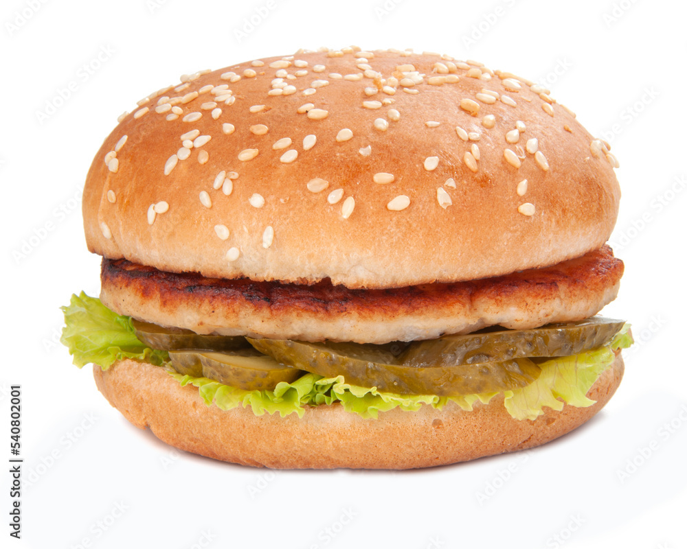 Tasty fast food burger with beef, onion, cucumbers and salad american style Tasty fast food burger with beef, onion, cucumbers and salad american style