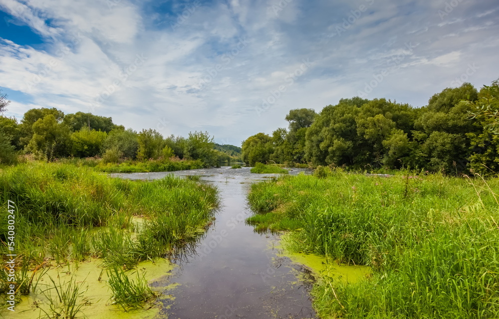 Summer landscape with hill, trees, grass, river and blue sky with white clouds