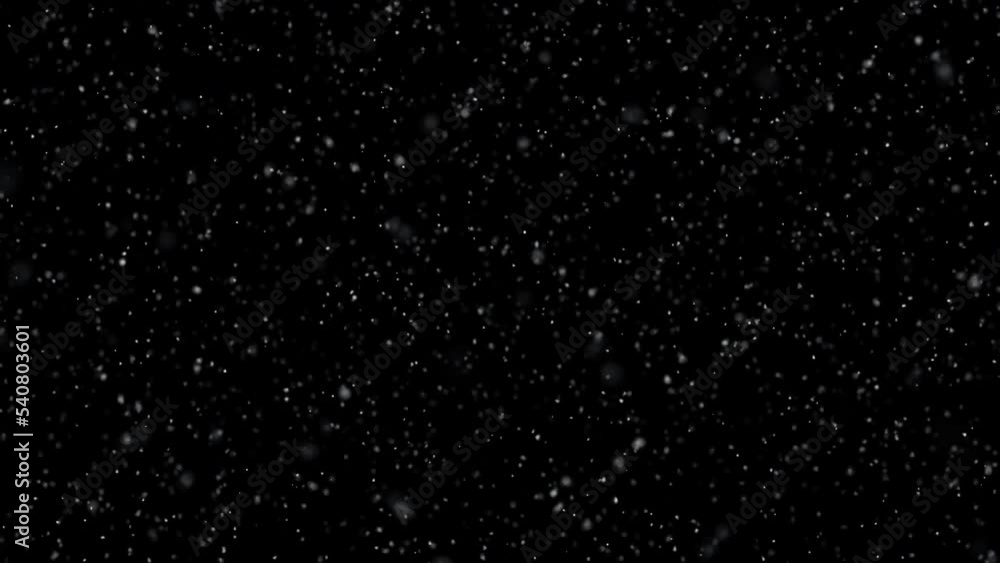 Seamless looping slow motion heavy falling snowflakes on clean black copy space animation background.
Seamless looping slow motion heavy falling snowflakes on clean black copy space animation background.