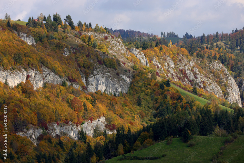 Amazing autumn landscape view of Cheile Dambovicioarei with forest in fall color. Beautiful fall seasons changes over the year.