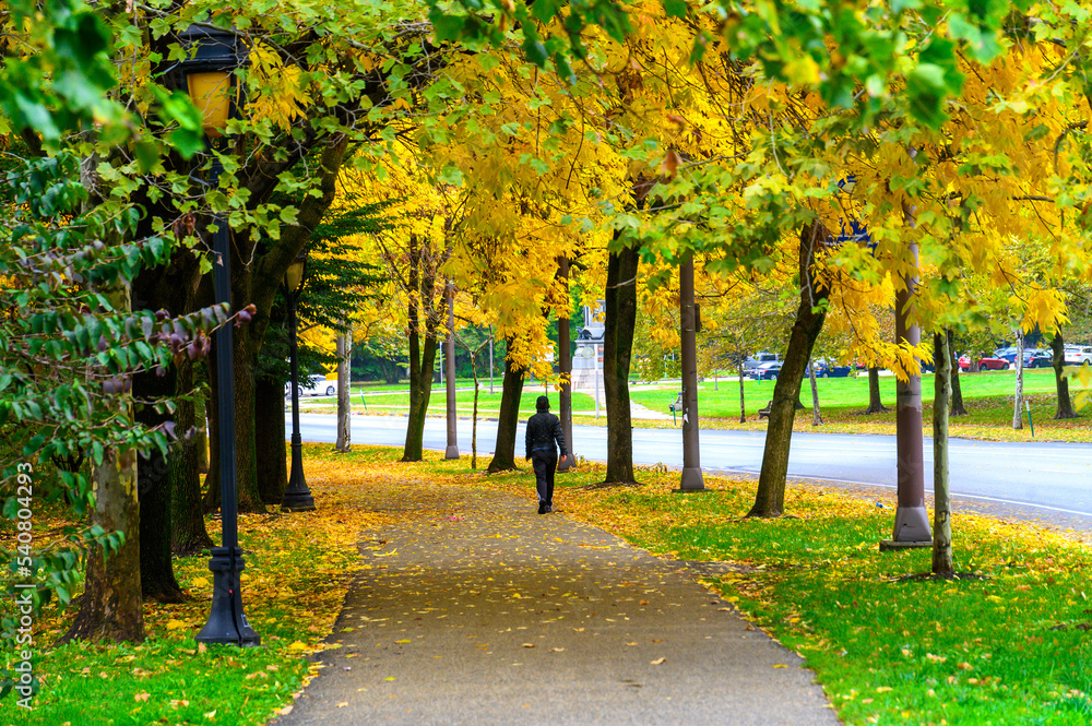 Naklejka premium Autumn in the park in Philadelphia