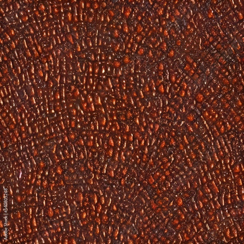 The picture shows a seamless rust texture. The color is rusty brown, and the texture is rough and bumpy.