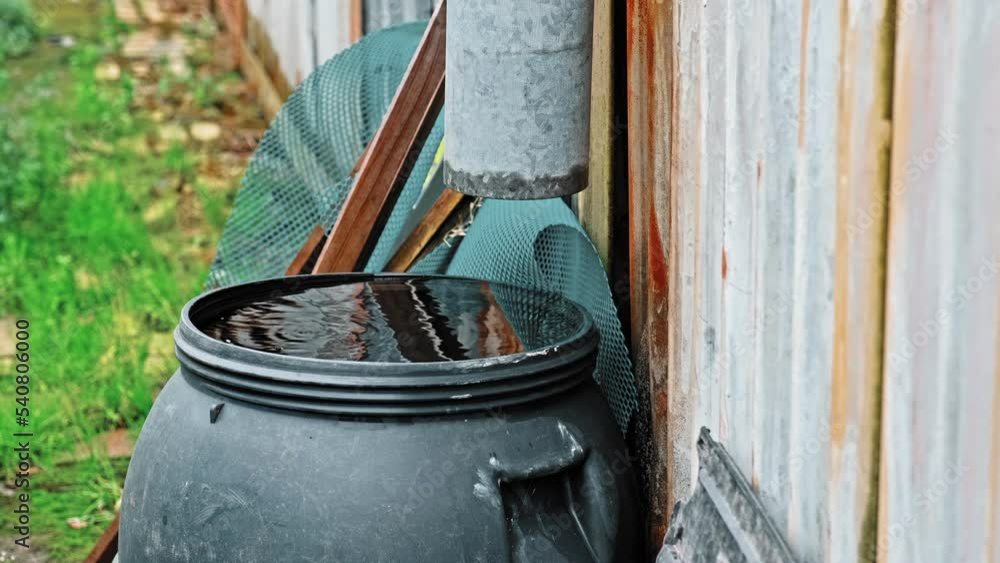 Drops of Water Dripping from Plastic Gutter into Overflowing Plastic Barrel Reservoir for Collecting Rainwater Drops of Water Dripping from Plastic Gutter into Overflowing Plastic Barrel Reservoir for Collecting Rainwater