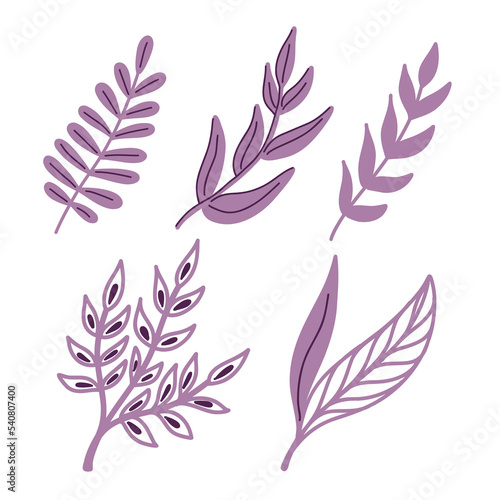 A set of vector illustrations with purple twigs of leaves in a doodle handmade style