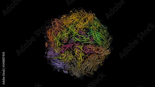 Structure of porcine circovirus 2. Animated 3D cartoon and Gaussian surface models, PDB 3r0r, entity id color scheme, black background