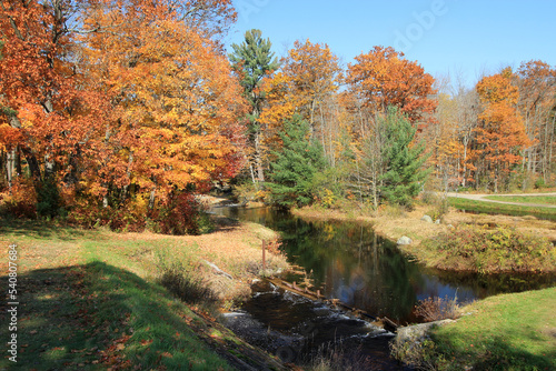 Fall landscape with colorful trees and river