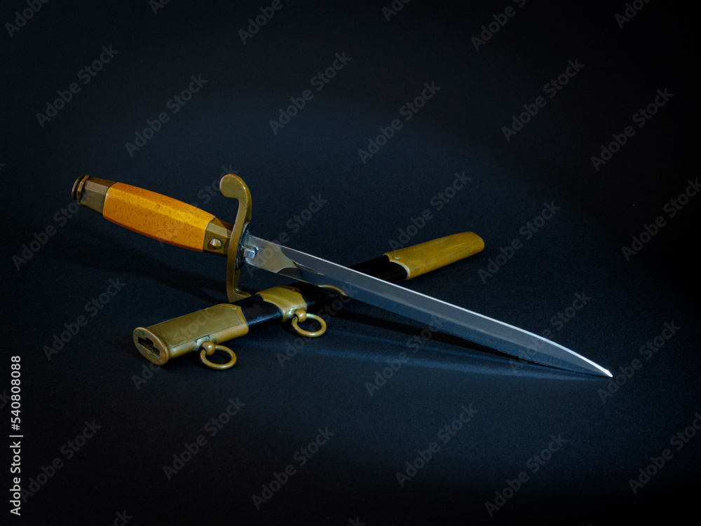 Foto Officer's dagger with scabbard