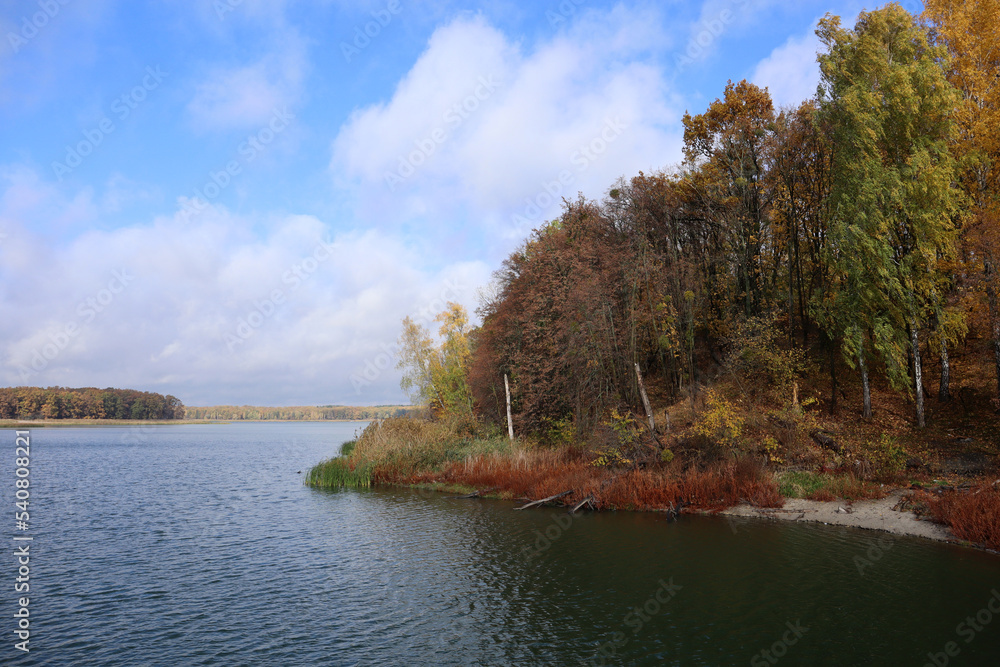 The trees are painted in various bright autumn colors, on the shore of a large forest lake.