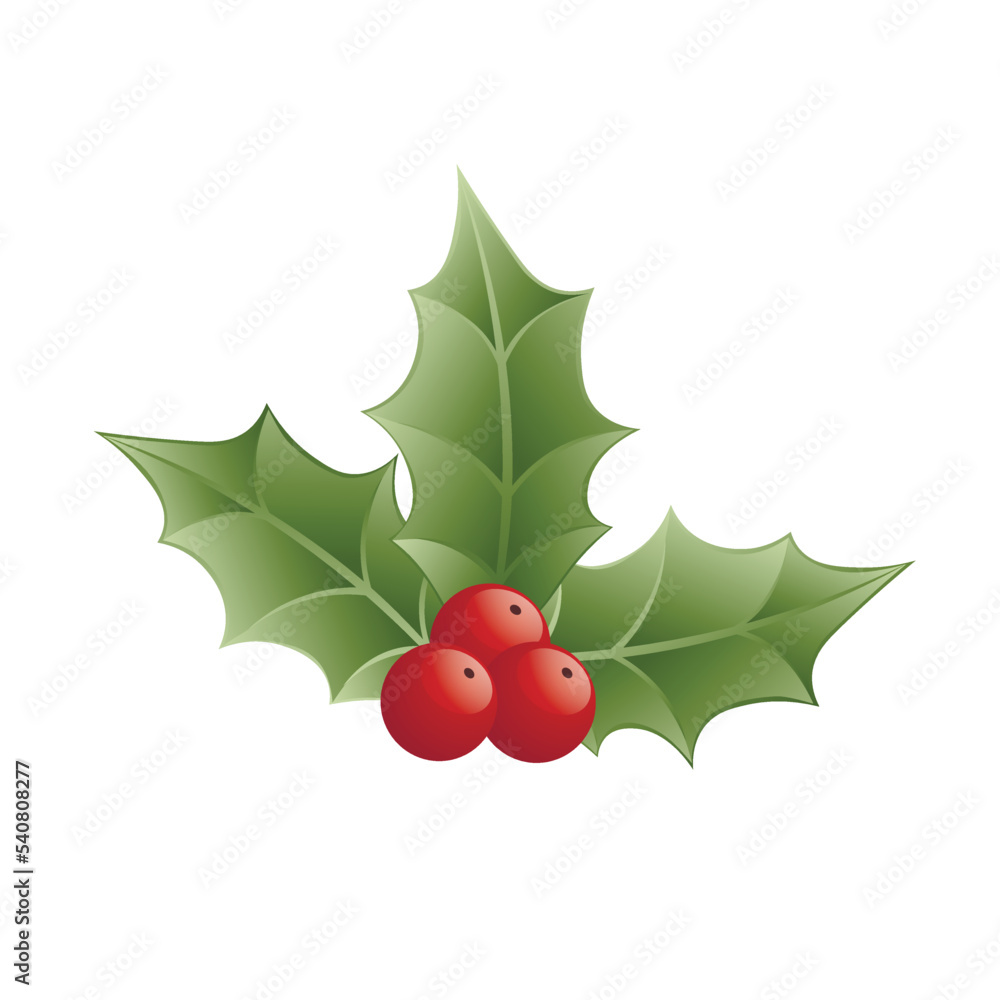 Green mistletoe on white background Green mistletoe on white background
