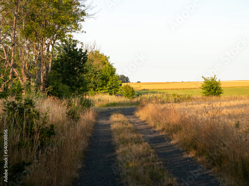 Empty dirt path in a rural area during sunset. Evening light is shining through the trees. Agricultural fields in the nature of Germany. Calm environment in the autumn season.