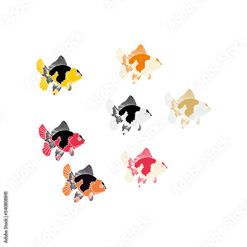 illustration of colorful goldfish