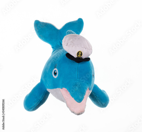 toy plush dolphin isolated on white background