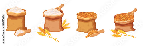 Set of flour and grains in cartoon style. Vector illustration of flour and wheat in bags, shovels, spikelets on white background.