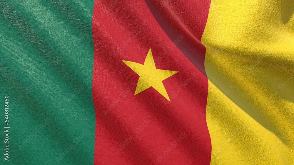 flag of cameroon waving in the wind 3d-rendering flag of cameroon waving in the wind 3d-rendering