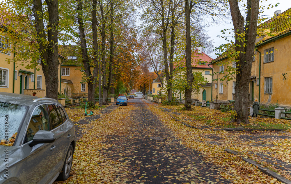 autumn in the village autumn in the village