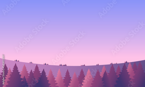 Winter forest sunrise nature landscape