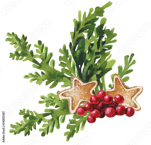 Christmas arrangement. Thuja branches, gingerbreads and cranberries. Cut out hand drawn PNG illustration on transparent background. Water colour clipart drawing.