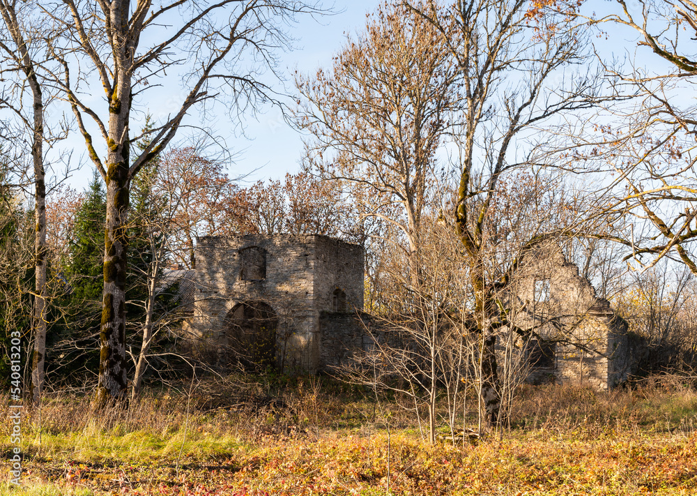 ruins of manor ruins of manor
