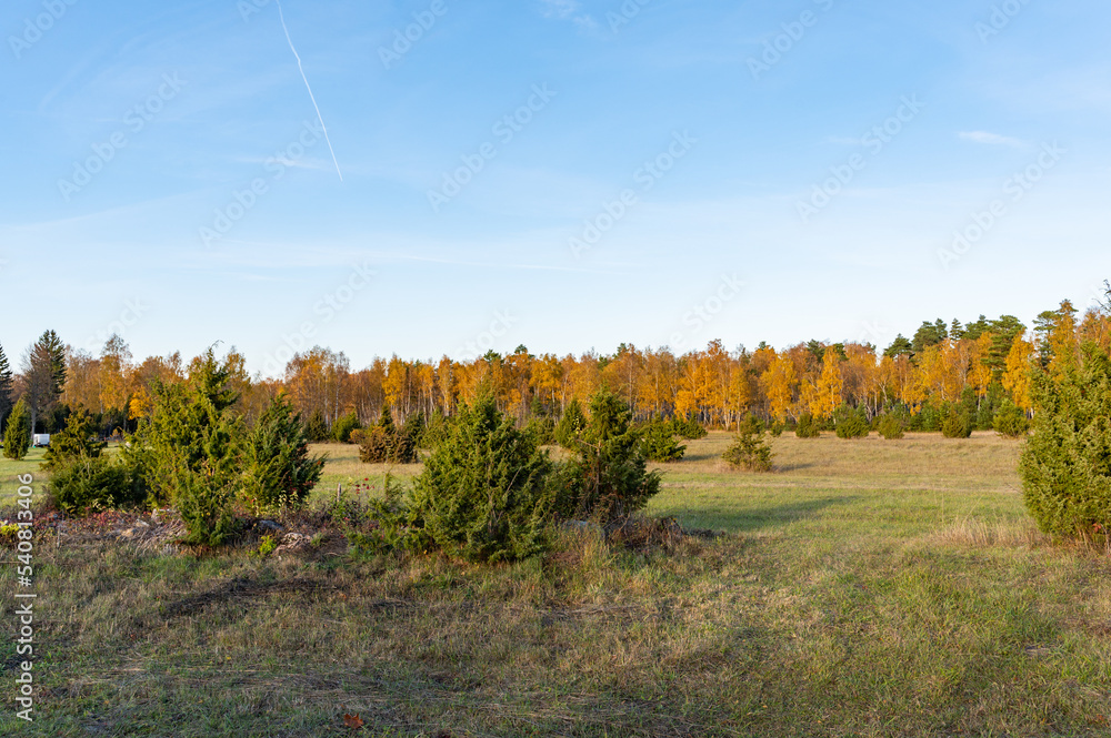 autumn landscape autumn landscape