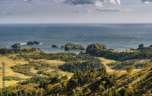 In the Unnamed bay on island of Shikotan, Kuril Islands.