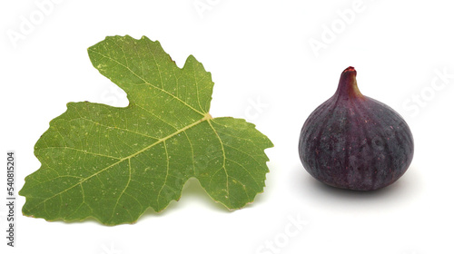 Une feuille de figuier et une figue isolés sur fond blanc