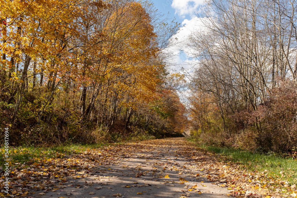 Fototapeta premium Fall scene of a bicycle path made on a reclaimed railroad track. 