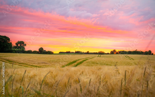 Valokuva Sonnenuntergang über Getreidefeld