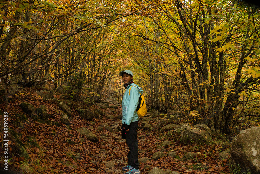 Asian girl walking in an Autumn Forest Landscape with autumn leaves path and with golden foliage. Path in autumn forest scene nature. In October, in the Aran Valley (Val de D'Aran) Pyrenees, Spain. Asian girl walking in an Autumn Forest Landscape with autumn leaves path and with golden foliage. Path in autumn forest scene nature. In October, in the Aran Valley (Val de D'Aran) Pyrenees, Spain.