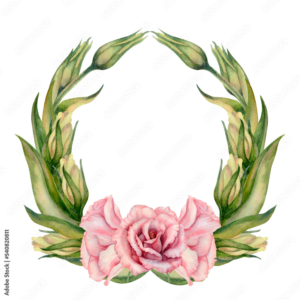 Watercolor pink eustoma flowers, buds and leaves. Hand drawn illustration. Elements isolated on white background.