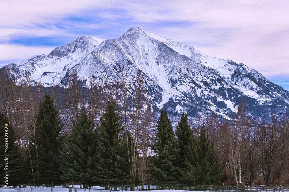 Winter view of beautiful mountain in Rocky Mountains, Colorado, with pine trees at the bottom