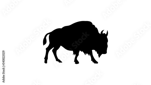 European Bison silhouette