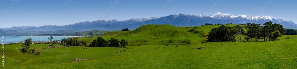 Walking around Kaikoura Peninsula, New Zealand on a beautiful Spring day. 