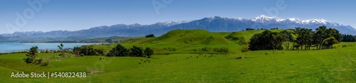Walking around Kaikoura Peninsula, New Zealand on a beautiful Spring day. 