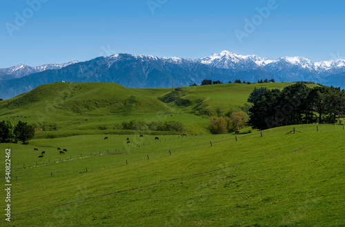 Walking around Kaikoura Peninsula  New Zealand on a beautiful Spring day. 