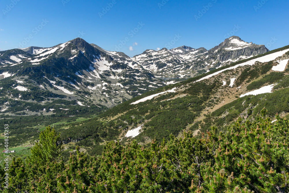 Summer view of Pirin Mountain near Popovo Lake, Bulgaria