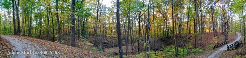 Fototapeta Naklejka Na Ścianę i Meble -  Sloping Autumn Forest Footpath Panorama