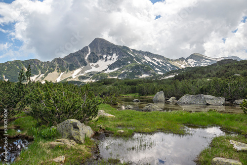 Summer view of Pirin Mountain near Popovo Lake, Bulgaria © Stoyan Haytov