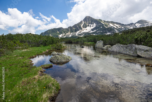 Summer view of Pirin Mountain near Popovo Lake  Bulgaria