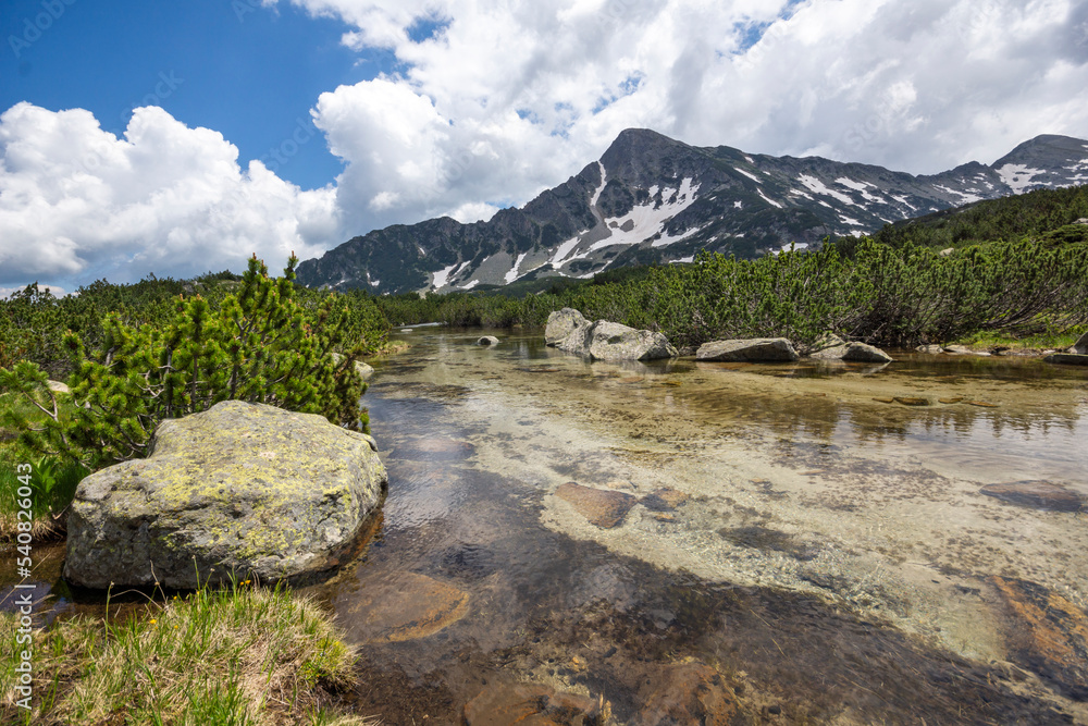 Fototapeta premium Summer view of Pirin Mountain near Popovo Lake, Bulgaria
